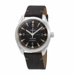 Omega Railmaster Black Replica